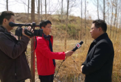 第二批2020朝阳消费券何时推出？